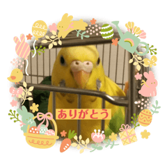[LINEスタンプ] 美ぃやちストーリー