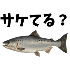 [LINEスタンプ] 魚のダジャレ集