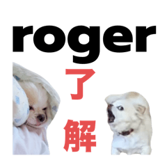 [LINEスタンプ] 割とキュート