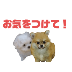 [LINEスタンプ] 今日も気をつけてね