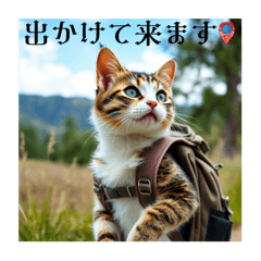 [LINEスタンプ] 猫ちゃん、色々（日常その他）