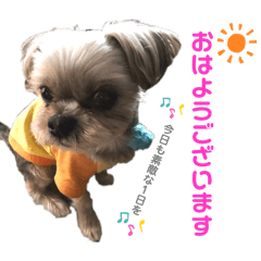 [LINEスタンプ] ミックス犬☆山本ララ