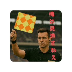[LINEスタンプ] サッカーのレフェリー