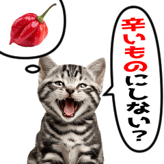 [LINEスタンプ] 辛いものが好きなねこ