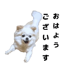 [LINEスタンプ] ちっちゃい挨拶