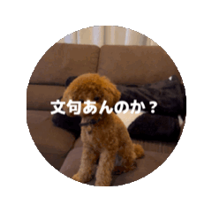 [LINEスタンプ] ぷあぷあスタンプだよ