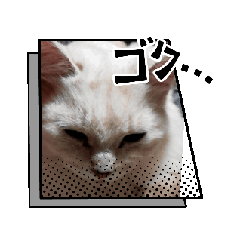 [LINEスタンプ] 山メロファミリー