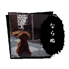 [LINEスタンプ] べにせい