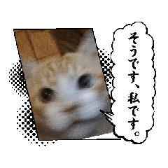 [LINEスタンプ] 山メロ (そうです)