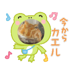 [LINEスタンプ] カエルリアル