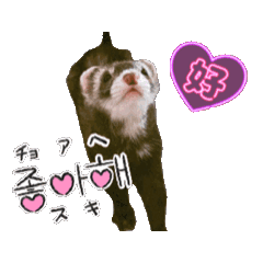 [LINEスタンプ] 美音-minon-