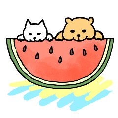 [LINEスタンプ] 毎日クマスタンプ春夏
