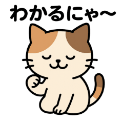 [LINEスタンプ] にゃんこ百面相！トーク大活躍！人気猫種！ fetchpriority=high