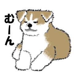 [LINEスタンプ] もちもちの秋田犬