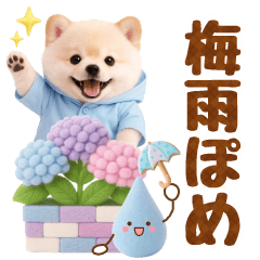 [LINEスタンプ] 大人可愛い癒しポメラニアンの梅雨スタンプ