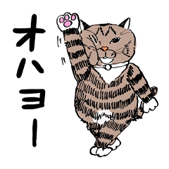 [LINEスタンプ] 靴下ねこのたびお