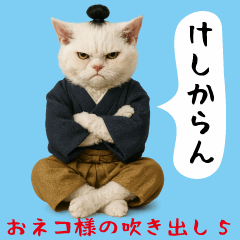 [LINEスタンプ] お猫様の吹き出しスタンプ5