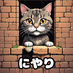 [LINEスタンプ] いろんな表情が楽しめる！キュートなねこ