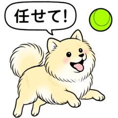 [LINEスタンプ] ポメラニアン(クリームバージョン)