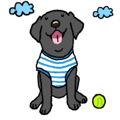 [LINEスタンプ] 黒ラブラドールレトリーバー・丁寧語