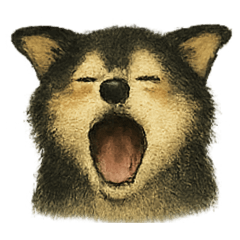 [LINEスタンプ] コロ！カワイイ！イラスト！