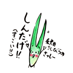 [LINEスタンプ] でんとうやさいむら 秋田編