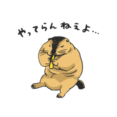 [LINEスタンプ] ヒマラヤマーモットのまもるさん