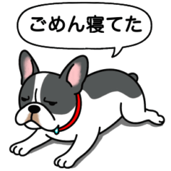 [LINEスタンプ] フレンチブルドッグ(ブラックパイド)