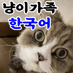 [LINEスタンプ] ねこかぞく-韓国語