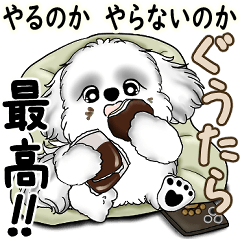 [LINEスタンプ] 新・B＆Wシーズー犬  「やるかやらないか」
