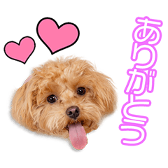 [LINEスタンプ] 栗本家のちくわちゃん♪