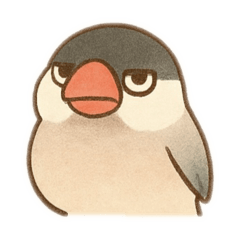 [LINEスタンプ] いろいろ桜文鳥のスタンプ