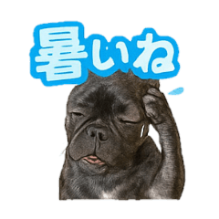 [LINEスタンプ] ボニーの夏