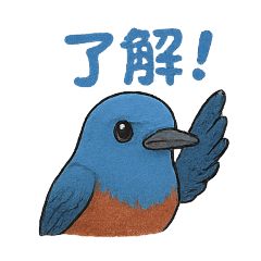 [LINEスタンプ] 幸せの青い鳥♪イソヒヨドリくん
