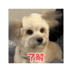 [LINEスタンプ] エル氏(9ヶ月記念)