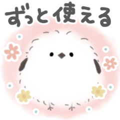 [LINEスタンプ] ずっと使える＊シマエナガさん＊優しい色
