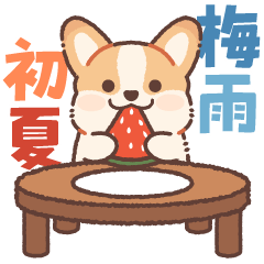 [LINEスタンプ] 毎日使える！飛び出すコギたんの梅雨＆初夏