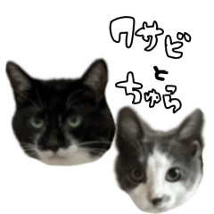 [LINEスタンプ] ワサビとちゅら