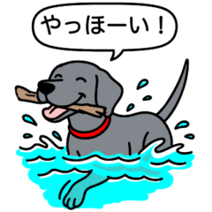 [LINEスタンプ] ワイマラナー(スムース＋グレー)