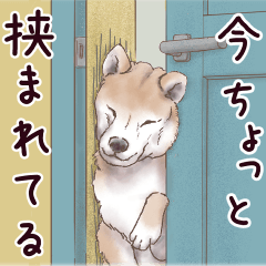 [LINEスタンプ] わんこなやつら7