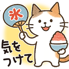 [LINEスタンプ] 猫ちゃんとスイーツと夏。