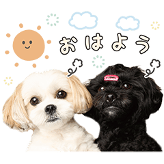 [LINEスタンプ] ルル＆レアの日常