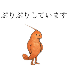 [LINEスタンプ] ぷりぷりえびさん