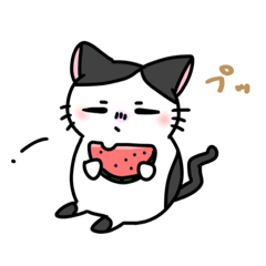 [LINEスタンプ] 福を呼ぶ！！かぎしっぽねこ大ちゃんの夏