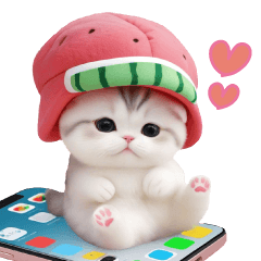 [LINEスタンプ] かわいいスイカ帽ねこ 使える 状況＆日常