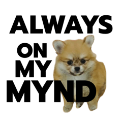 [LINEスタンプ] いつもオンマイマインド