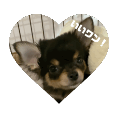 [LINEスタンプ] ラブちゃんのお は な し