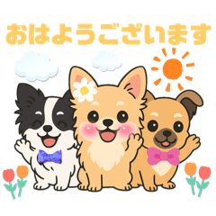 仲良しチワワんずのhappyスタンプ | LINEスタンプ | harun_harurun