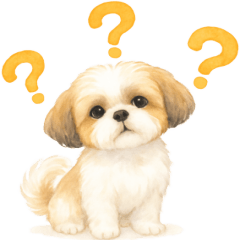 [LINEスタンプ] シーズーの使いやす言葉スタンプ