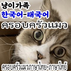 [LINEスタンプ] ねこかぞく韓国語-タイ語